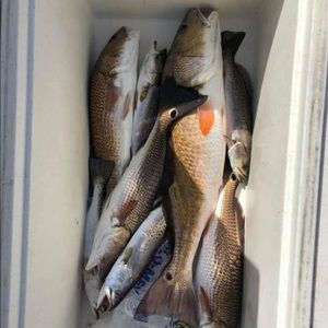 Meet your Posher, Keith